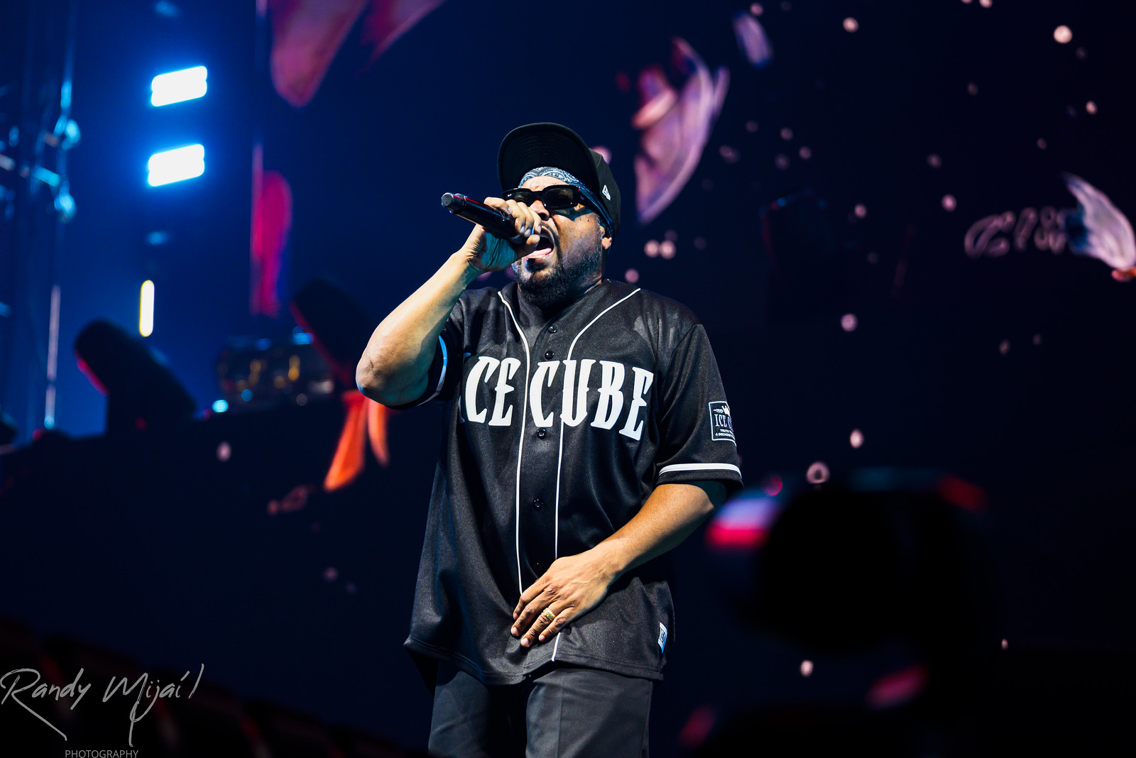 Ice Cube - Image 9